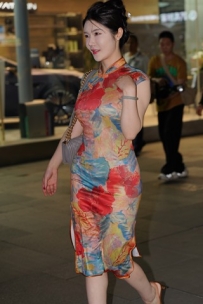 旗袍装气质美女